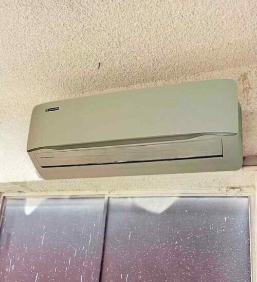 04. Blue Star 1 Ton 5 Star Smart Inverter Split AC